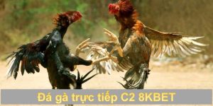 đá gà trực tiếp c2